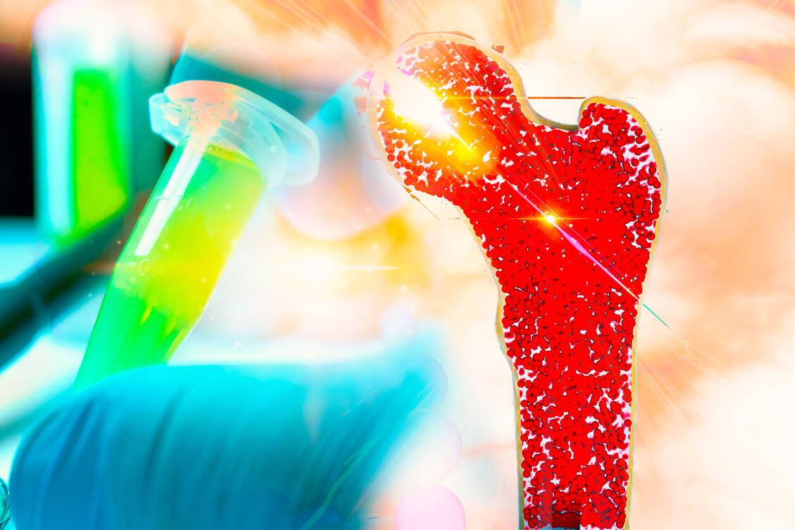 Im Knochenmark persistieren grippespezifische Plasmazellen offenbar nicht länger als ein Jahr. Das berichtet ein Forscherteam aus den USA. / Foto: Adobe Stock/catalin