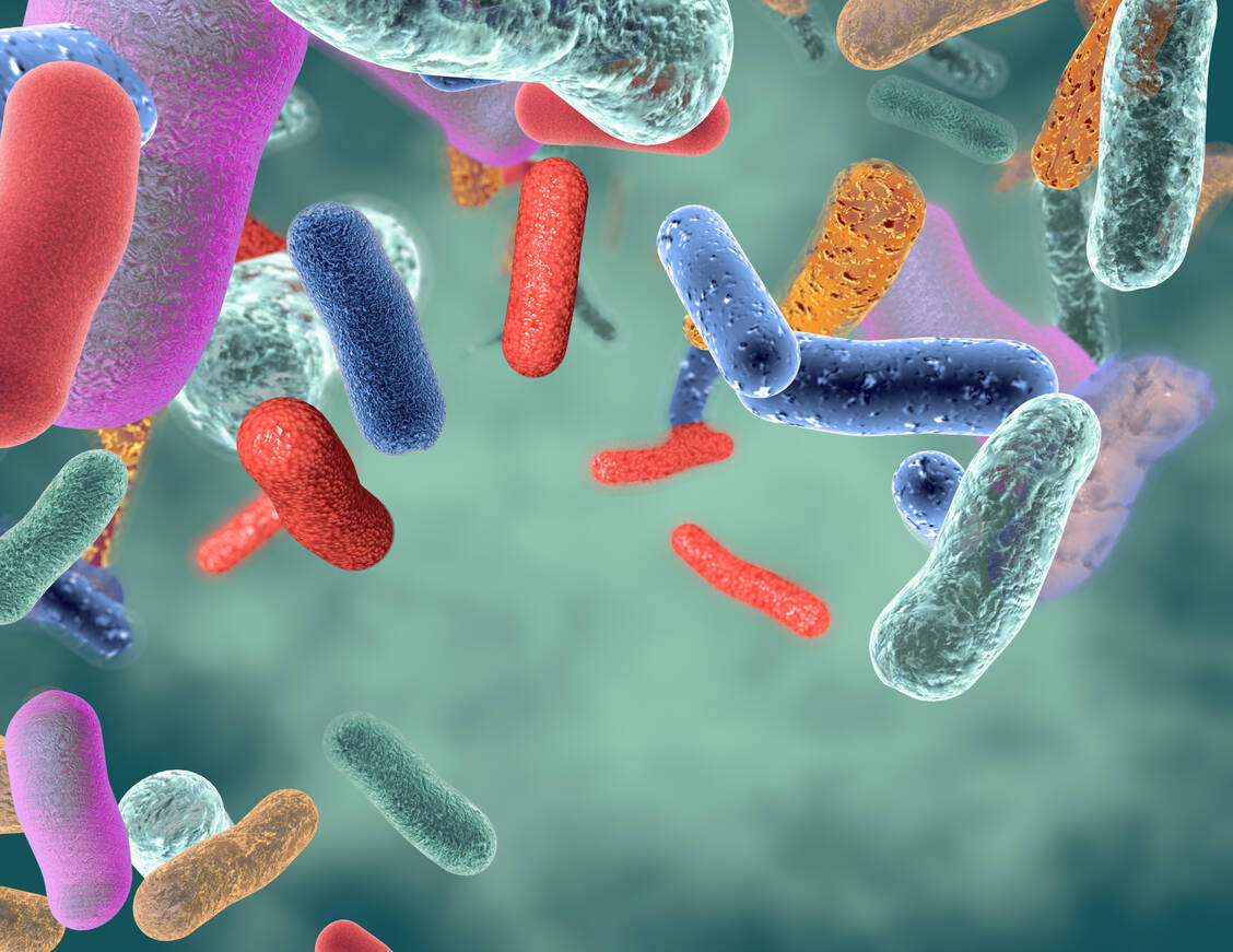 Die größten Konkurrenten von Bakterien im Kampf um Nährstoffe und Lebensraum sind andere Bakterien. Viele von ihnen produzieren daher Antibiotika, um die Konkurrenz auszuschalten. / Foto: Adobe Stock/picture-waterfall