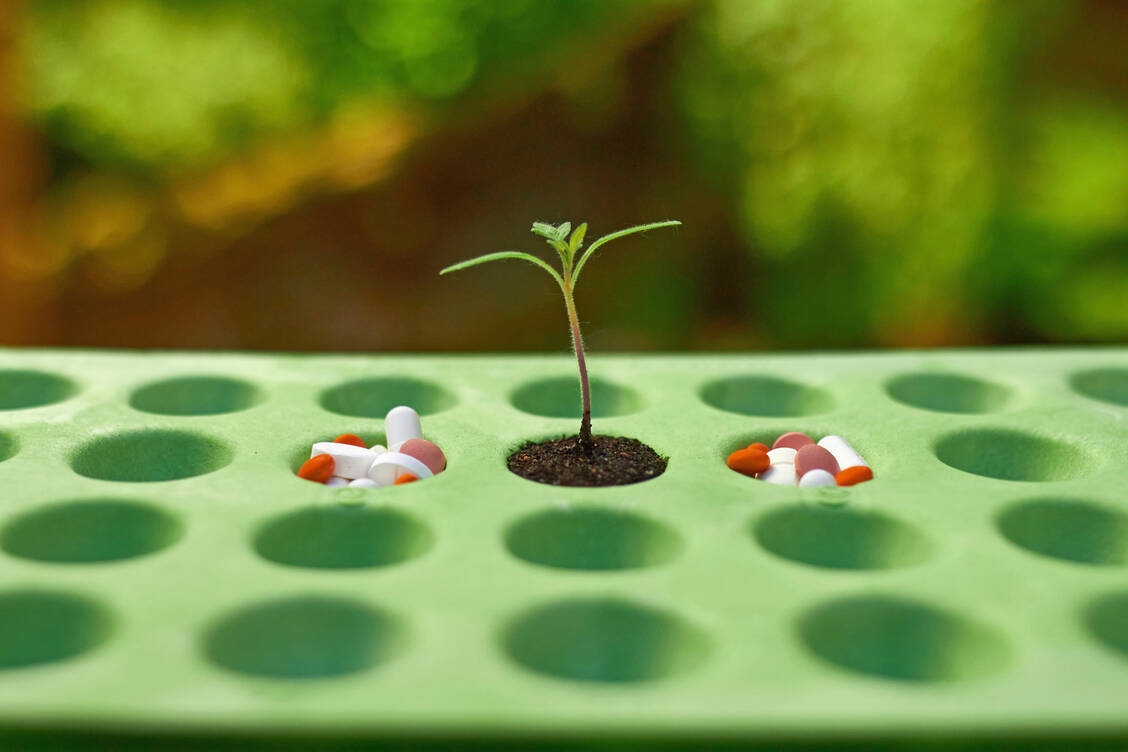 Blister aus Pappe gibt es schon. Doch die Pharmaindustrie nimmt solche Innovationen nur zögerlich an. / Foto: ecoblister