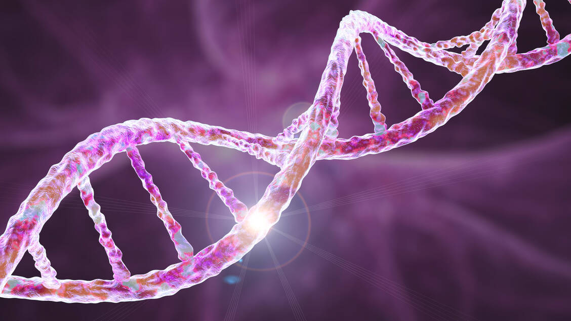 Dass die DNA eine Doppelhelix -Struktur hat, ist seit genau 70 Jahren bekannt. Aufgeklärt wurde der Aufbau von zwei britischen Forscherteams.  / Foto: Getty Images/Science Photo Library