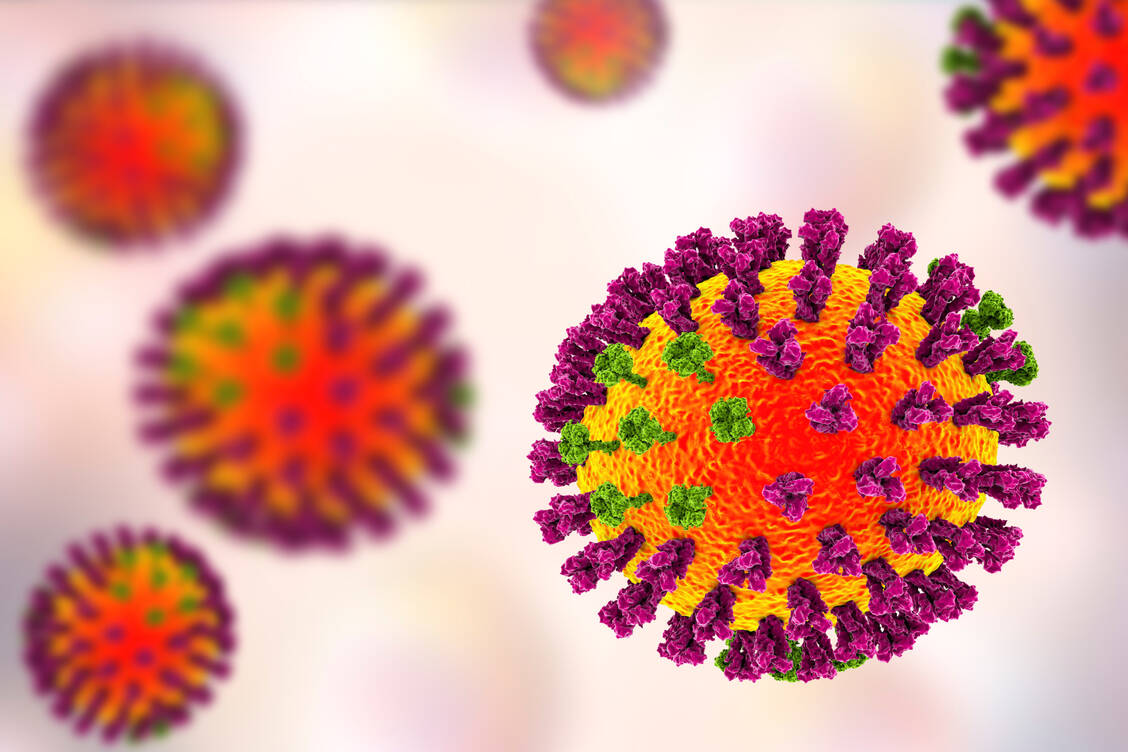 Influenza-Viren mutieren bekanntlich schnell. Das Virus-Isolat eines erkrankten Farmmitarbeiters ist nur eine Mutation von einer hoch ansteckenden Variante entfernt zu sein. / © Getty Images/Science Photo Library/Kateryna Kon
