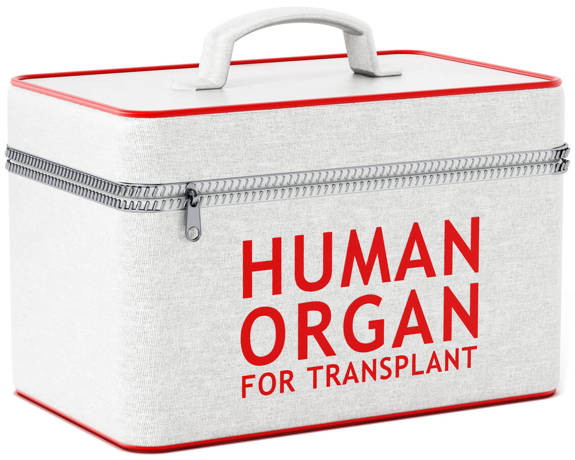 Wachsende Erfolgsaussichten bei Transplantationen: mit besserer Konservierung der Organe und schnellerem Transport.  / Foto: Adobe Stock/Destina