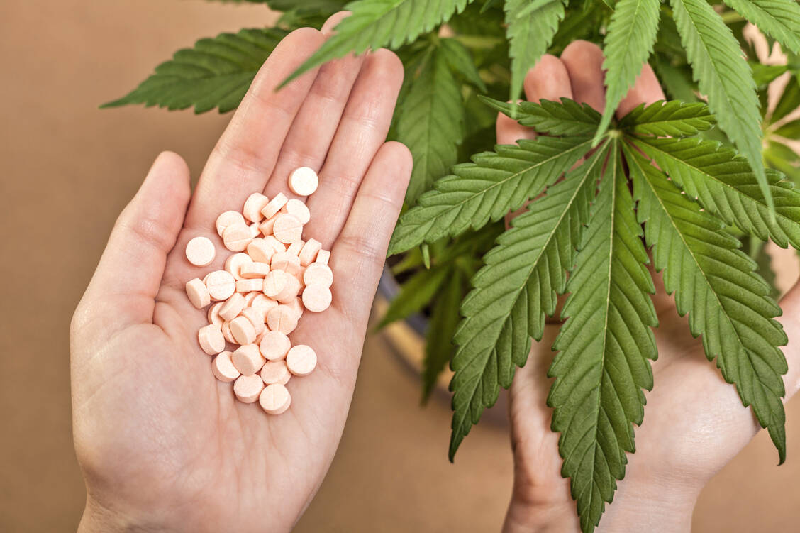 Für den Einsatz Cannabinoid-haltiger Zubereitungen fehlt es vielfach nach wie vor an Evidenz. / Foto: Shutterstock/Jan Mika