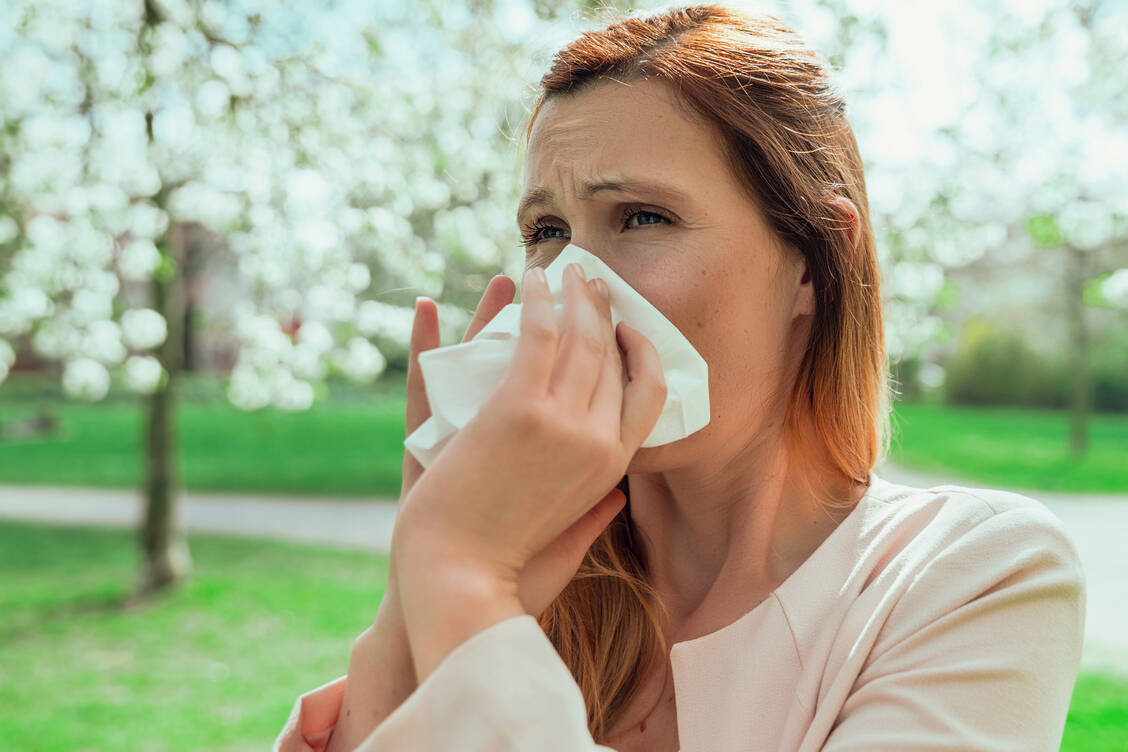 Fast 15 Millionen Erwachsene in Deutschland reagieren allergisch auf Blütenpollen. / Foto: Adobe Stock/detailblick-foto