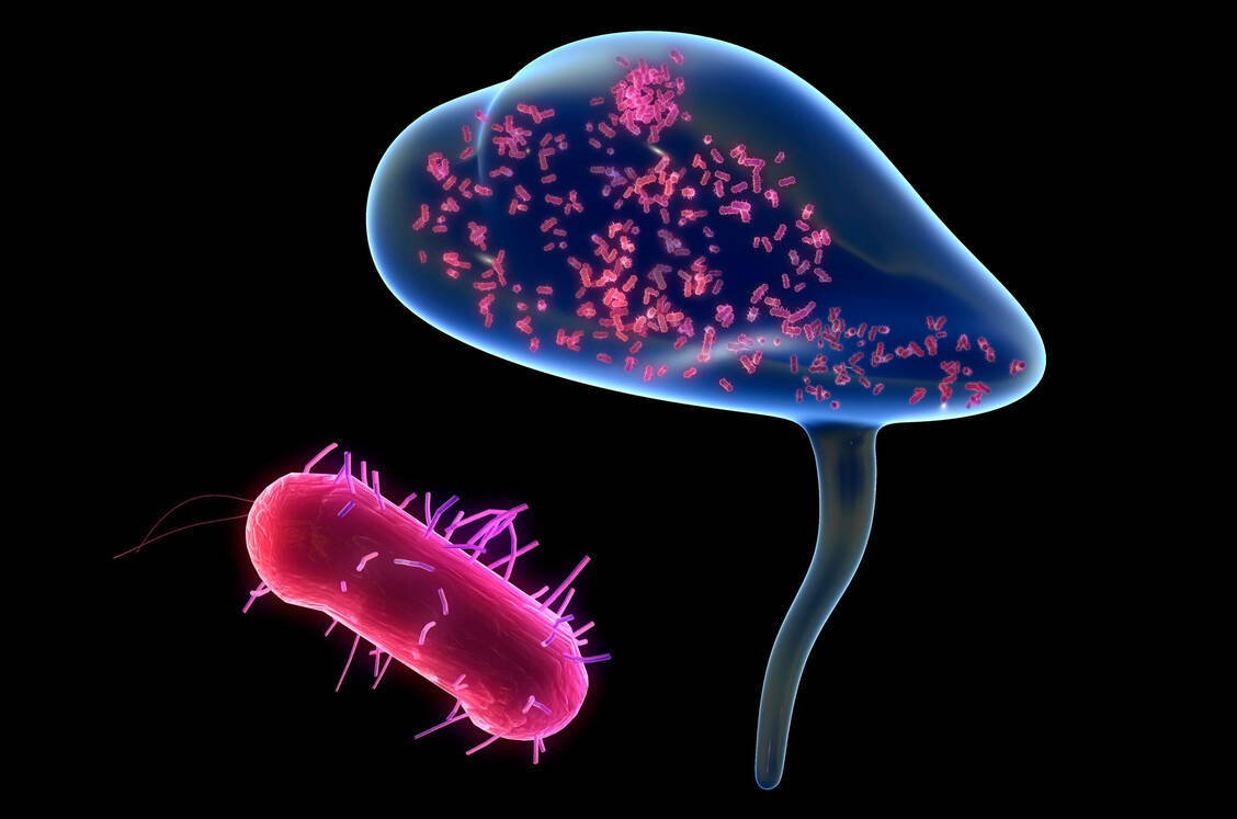 Der Einfachzucker Mannose kann die Andockstellen von Escherichia-coli-Bakterien an deren Fimbrien besetzen. Dadurch werden die Keime leichter aus der Blase ausgespült. / Foto: Getty Images/Tumeggy/Science Photo Library