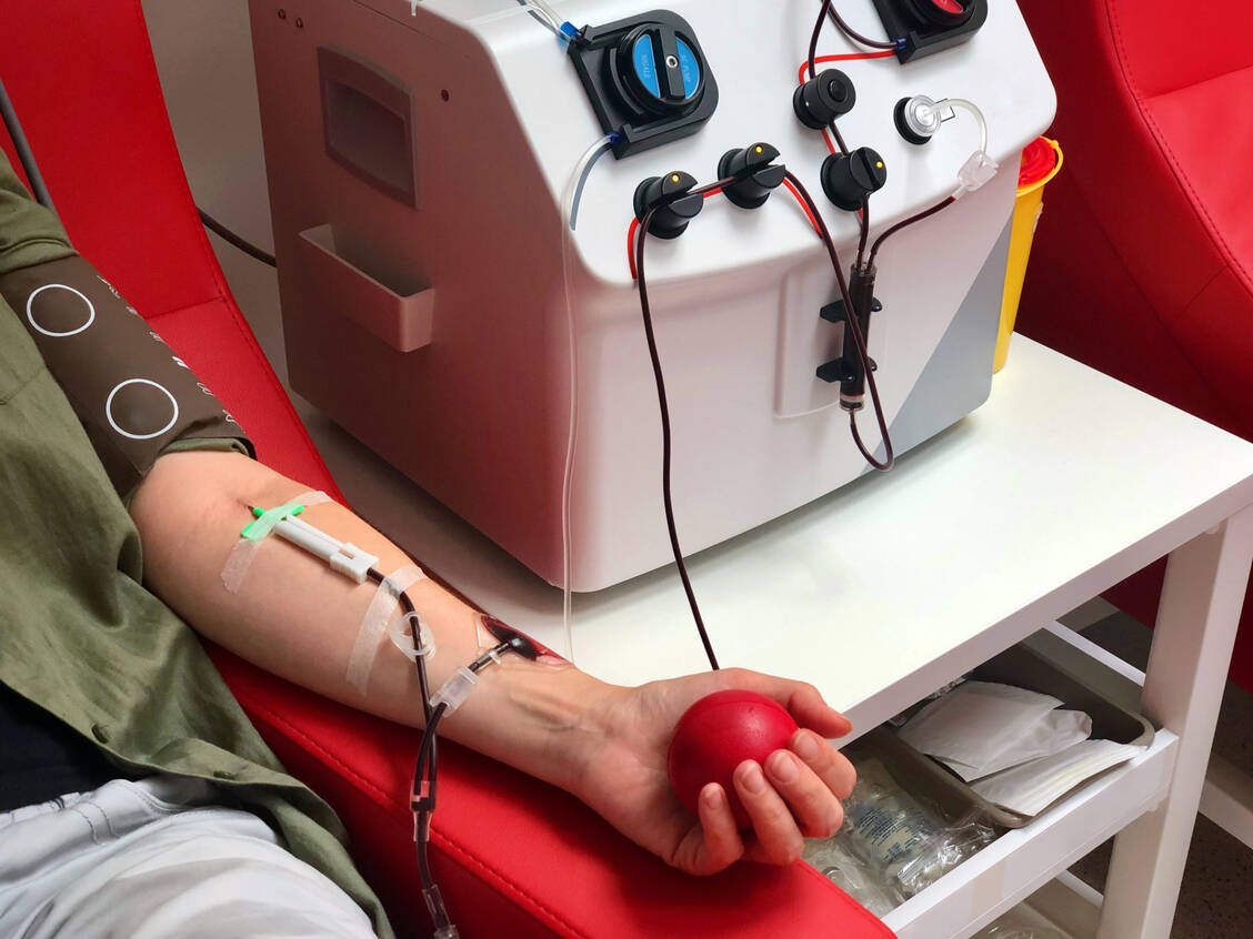Mittels Apherese können gezielt Blutbestandteile wie Plasma oder Thrombozyten gewonnen werden, während die übrigen Blutbestandteile zum Spender zurückfließen. / © Getty Images/alf255