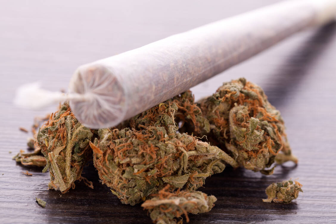 Beim Thema Cannabis-Legalisierung liegen Bundesgesundheitsminister Karl Lauterbach und die CSU nach wie vor weit auseinander. / Foto: Adobe Stock/juniart