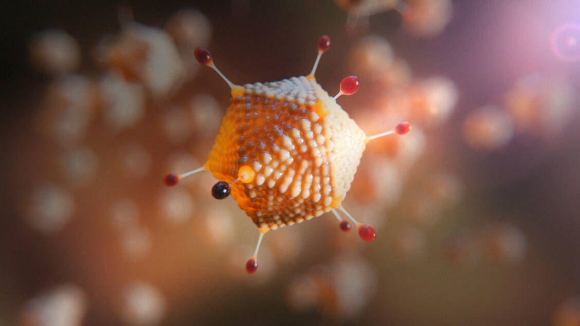 Bei diesem Impfstoffkandidaten transportiert ein Schnupfenvirus, das normalerweise Schimpansen befällt, das ChAdOx-Adenovirus, die Erbinformation für das Coronavirus SARS-CoV-2. / Foto: Astra-Zeneca