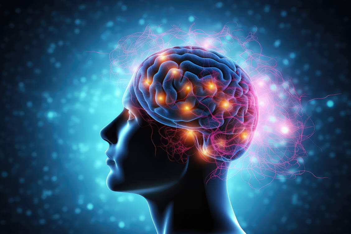 Die Insulinsensitivität des Gehirns war bei den Probandinnen in der ersten Zyklushälfte höher als in der zweiten. / Foto: Adobe Stock/pixardi