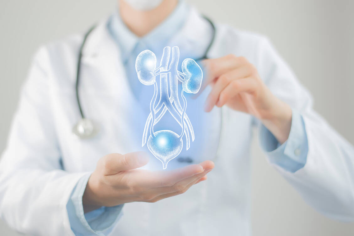 Trospiumchlorid kommt zur symptomatischen Behandlung der Dranginkontinenz und/oder bei häufigem Wasserlassen und Harndrang bei Patienten mit dem Syndrom der überaktiven Blase zum Einsatz. / Foto: Shutterstock/mi_viri
