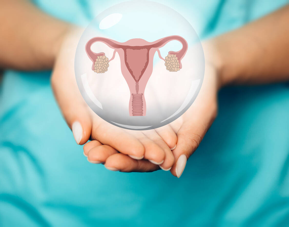 Myome sind gutartige Geschwulste, die aus Muskelzellen der Gebärmutter bestehen. Ein Symptom sind zu starke und zu lang anhaltende Monatsblutungen. / Foto: Adobe Stock/Peakstock
