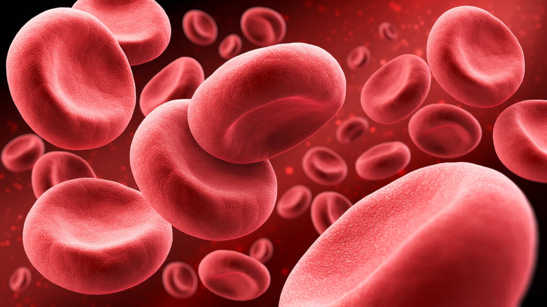 Eine Arzneimitteleinnahme kann manchmal dazu führen, dass das gewonnene Blut nur für bestimmte Zwecke genutzt werden kann, etwa zur Herstellung eines Erythrozytenkonzentrats. / © Getty Images/anusorn nakdee