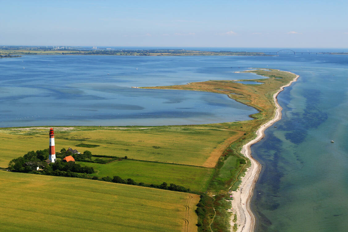 Gerade in flachen, sich schnell erwärmenden Küstenbereichen steigt das Risiko für ein vermehrtes Auftreten der Bakterien bei höheren Temperaturen deutlich. Die Ostsee ist aufgrund ihres niedrigen Salzgehalts besonders betroffen. / © Getty Images/Lonely Planet Images/Manfred Gottschalk