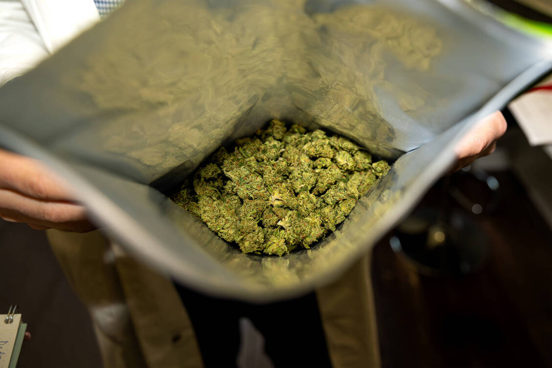 Medizinalcannabis soll nach dem Willen der Bundesregierung nicht mehr so leicht zu bekommen sein. Über das Für und Wider von schärferen Vorgaben wurde heute bei der Anhörung im Gesundheitsausschuss des Bundestags diskutiert. / © Imago/Fotostand