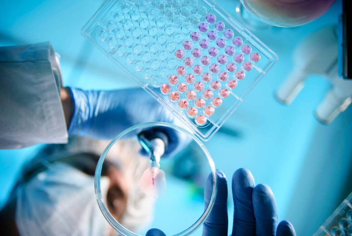 CD8-Zellen im Blut von Personen, die eine SARS-CoV-2-Infektion durchgemacht haben, können auch neue Varianten des Virus erkennen. / Foto: Getty Images/nicolas_