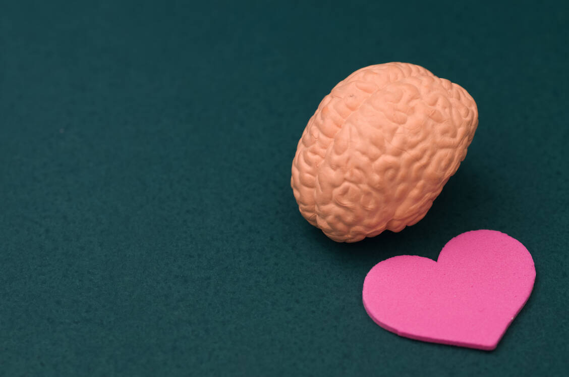 Empathie wächst stärker, wenn sie im Gehirn mit positiven Verknüpfungen einhergeht. / © Adobe Stock/TeacherPhoto