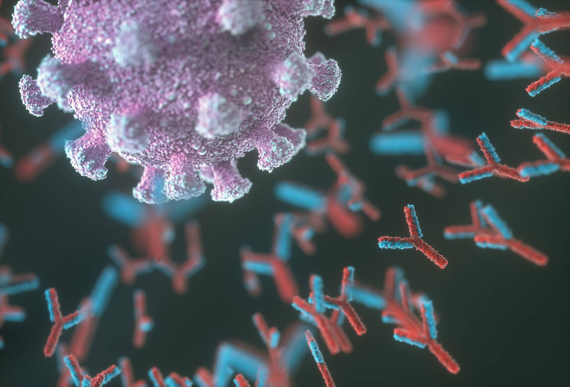 Infektionen mit der Omikron-Variante von SARS-CoV-2 verlaufen oft milder als mit anderen Varianten. Dafür werden in der Folge aber auch weniger neutralisierende Antikörper gebildet. / Foto: Getty Images/KTDesign/Science Photo Library