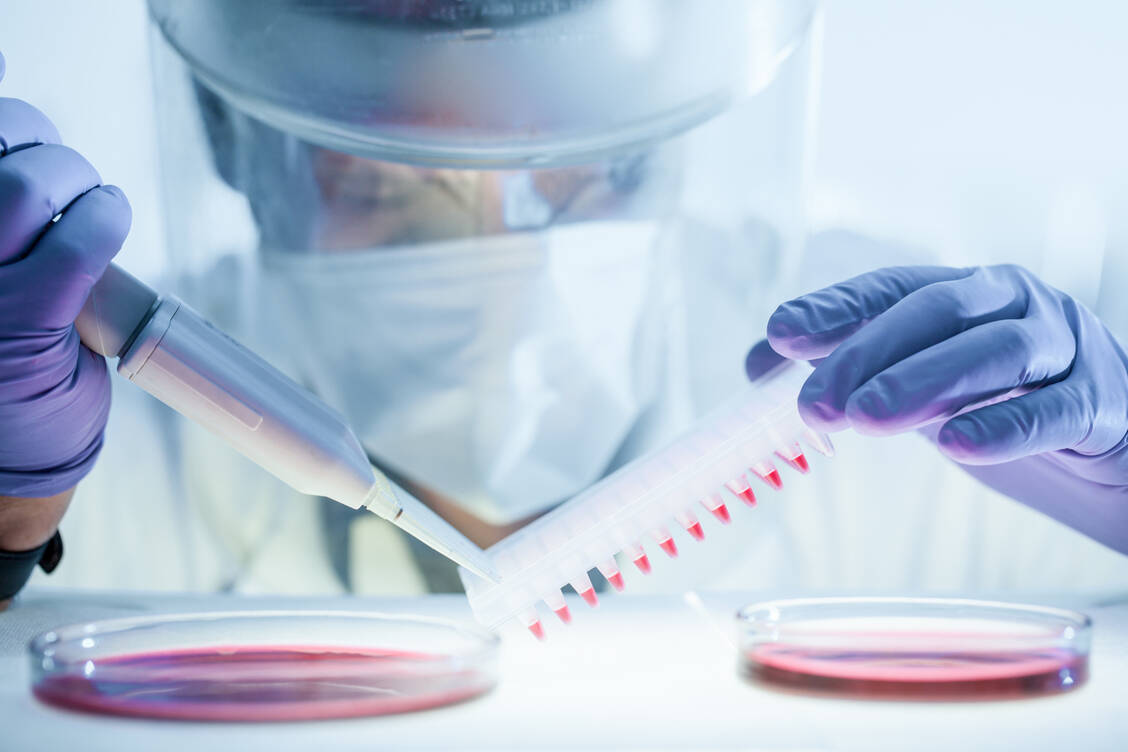 Bei sogenannten Gain-of-Function-Versuchen werden Viren gezielt gefährlicher gemacht. Solche Versuche müssen genehmigt werden und unter höchsten Sicherheitsstandards stattfinden. / Foto: Adobe Stock/kasto