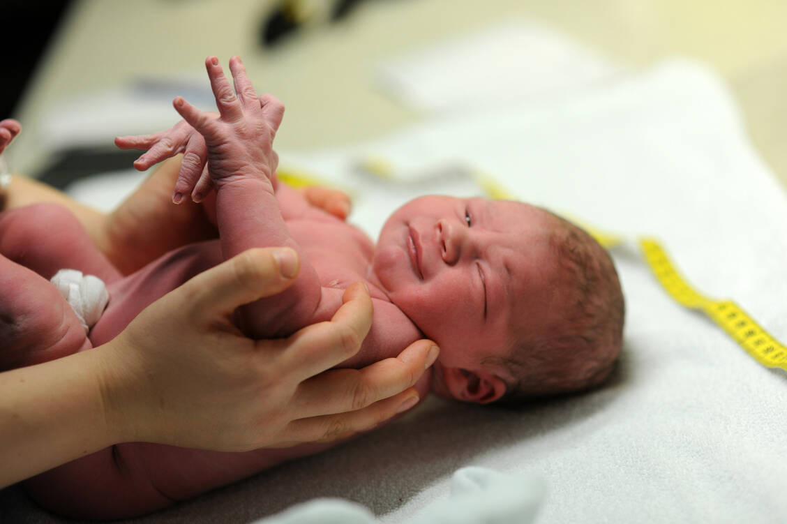 Nach einer Gebärmutter-Transplantation ihrer Mütter kamen die beiden ersten Babys in Deutschland in diesem Frühjahr gesund zur Welt (Symbolbild). / Foto: BEVIS