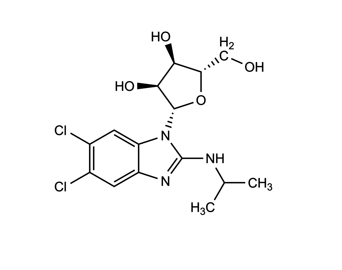 Maribavir