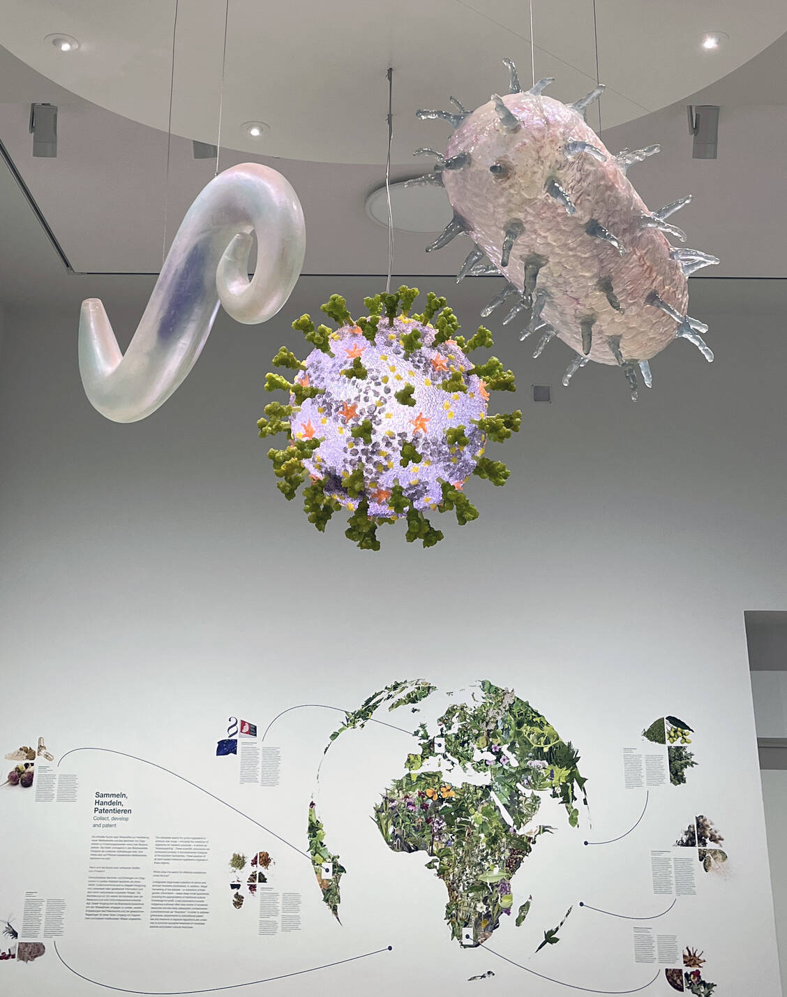 Modelle des Coronavirus SARS-CoV-2, des Pest-Bakteriums Yersinia pestis und des Malaria-Erregers Plasmodium falciparum / © PZ/Angela Kalisch