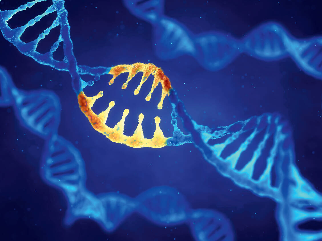 Gentechnisch hergestellte Arzneimittel erobern den Markt. Ihr Hauptanwendungsgebiet liegt bei Autoimmunerkrankungen. / Foto: Shutterstock/nobeastsofierce