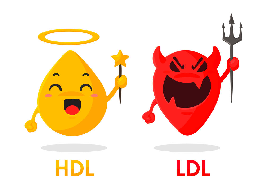 Je mehr HDL und je weniger LDL, desto besser. Beim Cholesterol ist der Zusammenhang tatsächlich so einfach. / Foto: Adobe Stock/anuwat
