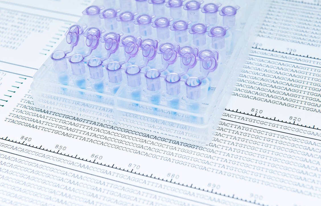 Eine Genanalyse für die Mutation m.1555A>G, die entscheidend für ein erhöhtes Risiko einer Ototoxizität unter Aminoglykosiden ist, dauerte bislang mehrere Tage.  / Foto: Adobe stock/HYUNGKEUN