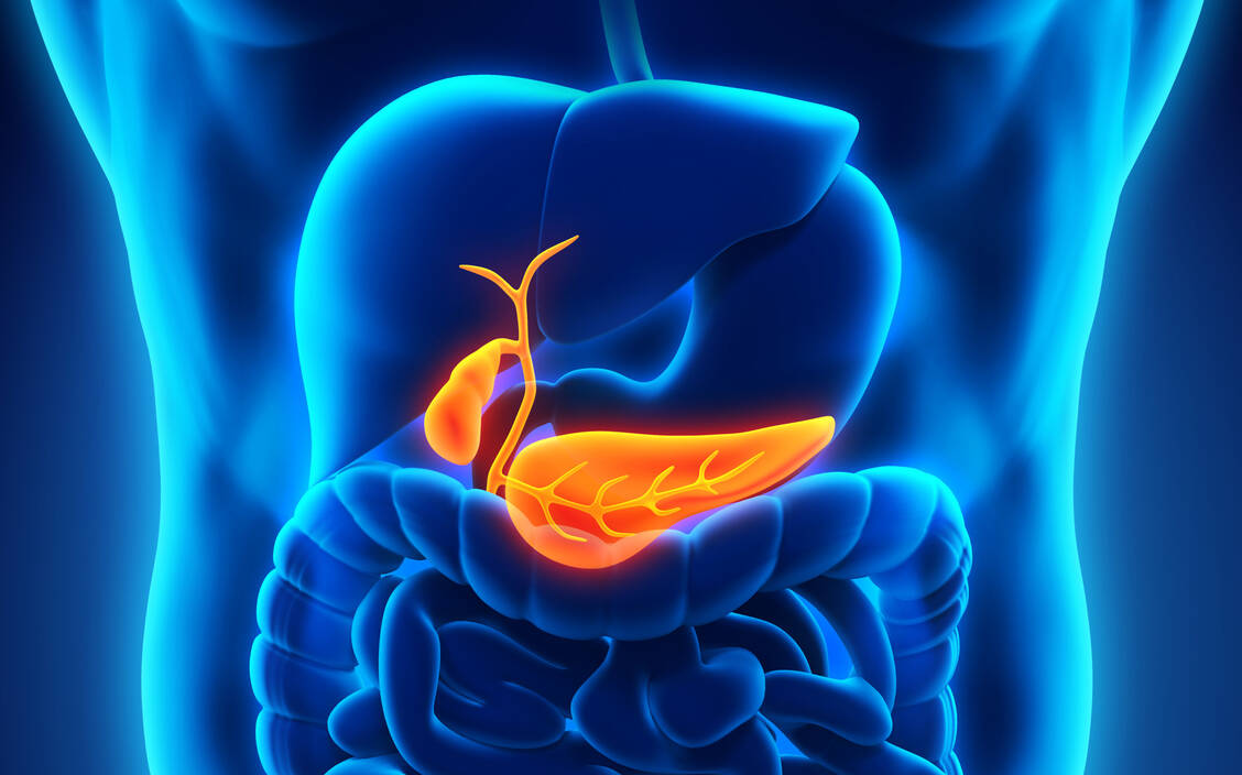 Das Cholangiokarzinom wird häufig in einem späten oder fortgeschrittenen Stadium diagnostiziert, wenn die Prognose für die Patienten ungünstig ist. / Foto: Adobe Stock/nerthuz