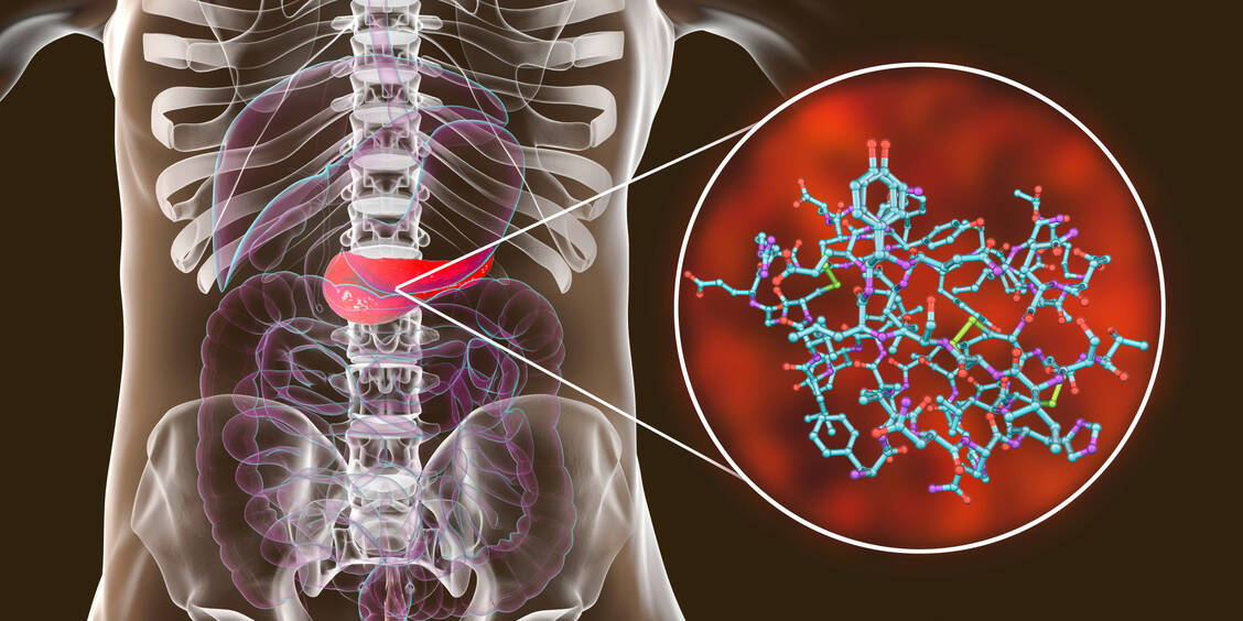 Wissenschaftler halten es für möglich, dass SARS-CoV-2 die Insulin-produzierenden Zellen in der Bauchspeicheldrüse direkt schädigen könnte. / Foto: Adobe Stock/Kateryna_Kon