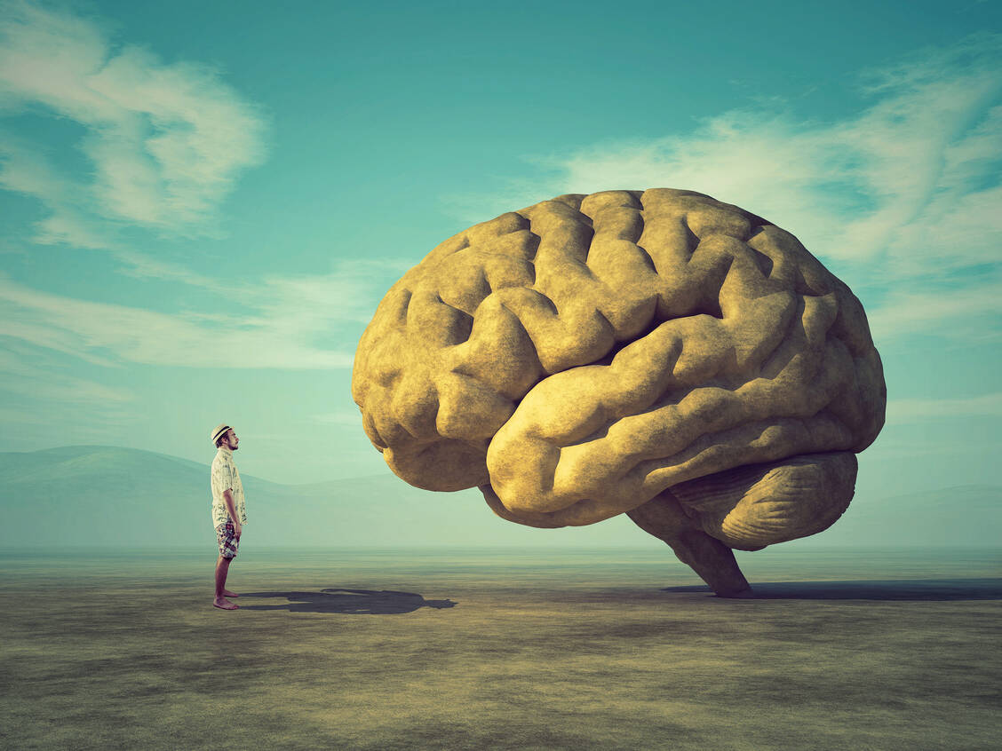 Nicht nur auf, sondern in das Gehirn blicken: Damit wollen Wissenschaftler der Alzheimer-Pathogenese näher kommen. / Foto: Fotolia/Orlando Florin Rosu