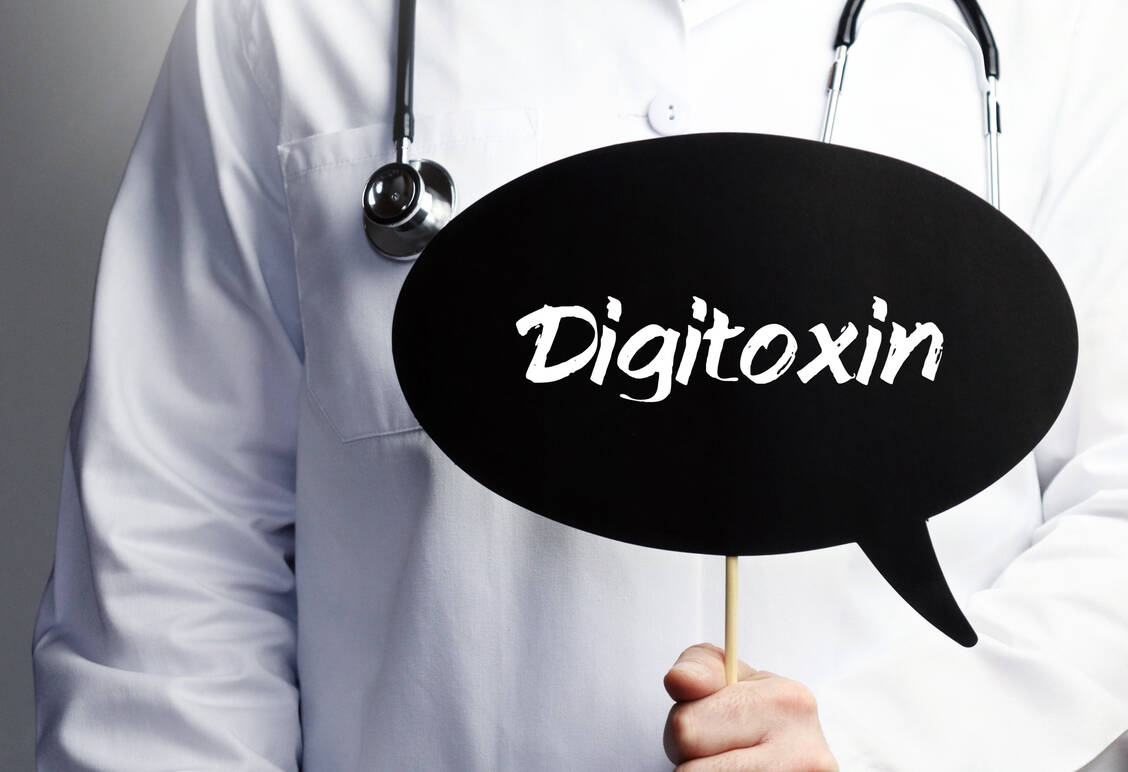 Digitalis-Glykoside haben eine sehr enge therapeutische Breite. Daher sind Dosieränderungen oder die Umstellung von einem Präparat auf ein anderes immer kritisch zu begleiten. / Foto: Adobe Stock/MQ-Illustrations