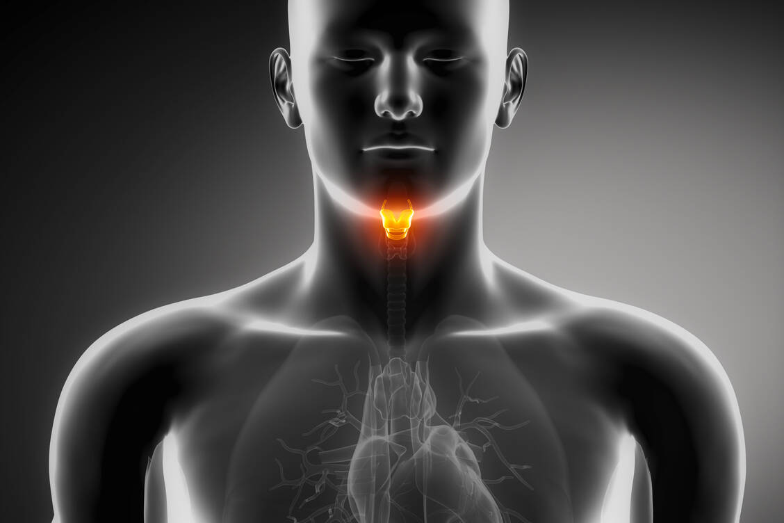 Muss der Kehlkopf vollständig entfernt werden, werden Atem- und Schluckwege permanent voneinander getrennt und der Patient verliert seine Stimme. / Foto: Adobe Stock/CLIPAREA.com