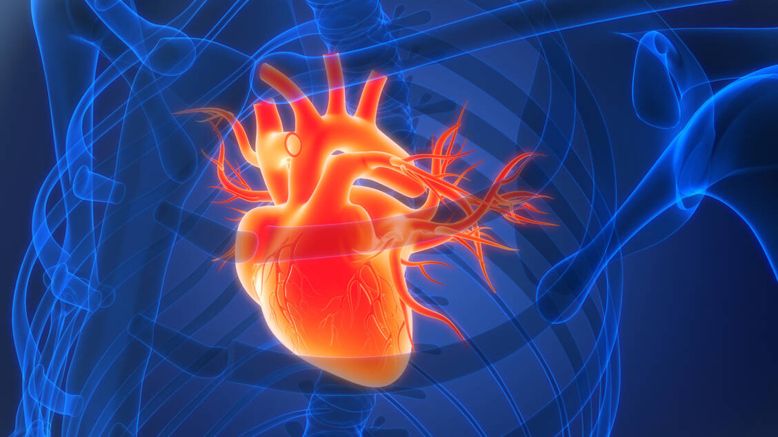 Bei Patienten mit Herzinsuffizienz und Eisenmangel scheint es geschlechtsspezifische Unterschiede hinsichtlich des Nutzens einer Eisensubstitution zu geben. / © Getty Images/magicmine