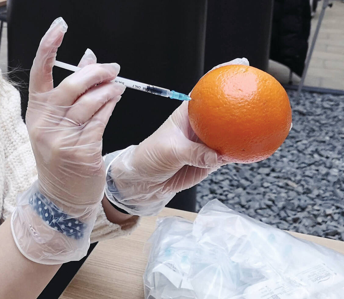 Geübt wurde die intramuskuläre Injektion zunächst an Orangen, um ein Gefühl für die Impfung zu bekommen. / Foto: PZ/Hüttemann