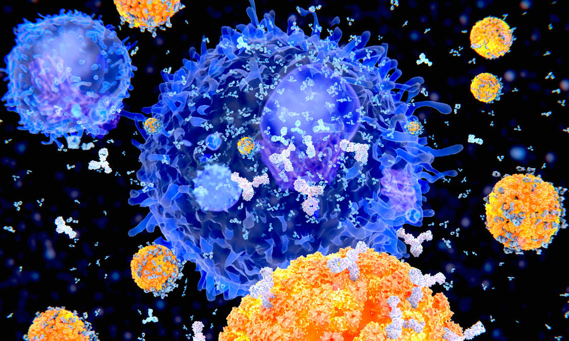 Dexamethason ist ein Immunsuppressivum. Werden Patienten, die schwer an Covid-19 erkrankt sind, mit dem Corticosteroid behandelt, ist ihre Immunantwort auf das Coronavirus aber nur vorübergehend abgeschwächt. / Foto: Getty Images/Juan Gärtner/Science Photo Library