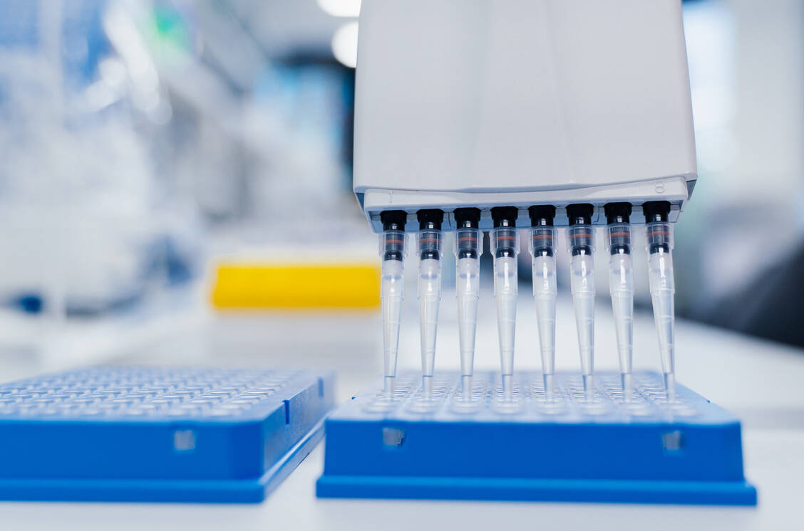 Eine große Bibliothek von Bakteriophagen lässt sich mit einer neuen Methode gezielt nach einem geeigneten Kandidaten zur Behandlung einer antibiotikaresistenten Infektion durchsuchen. / Foto: Adobe Stock/eplisterra (Symbolbild)