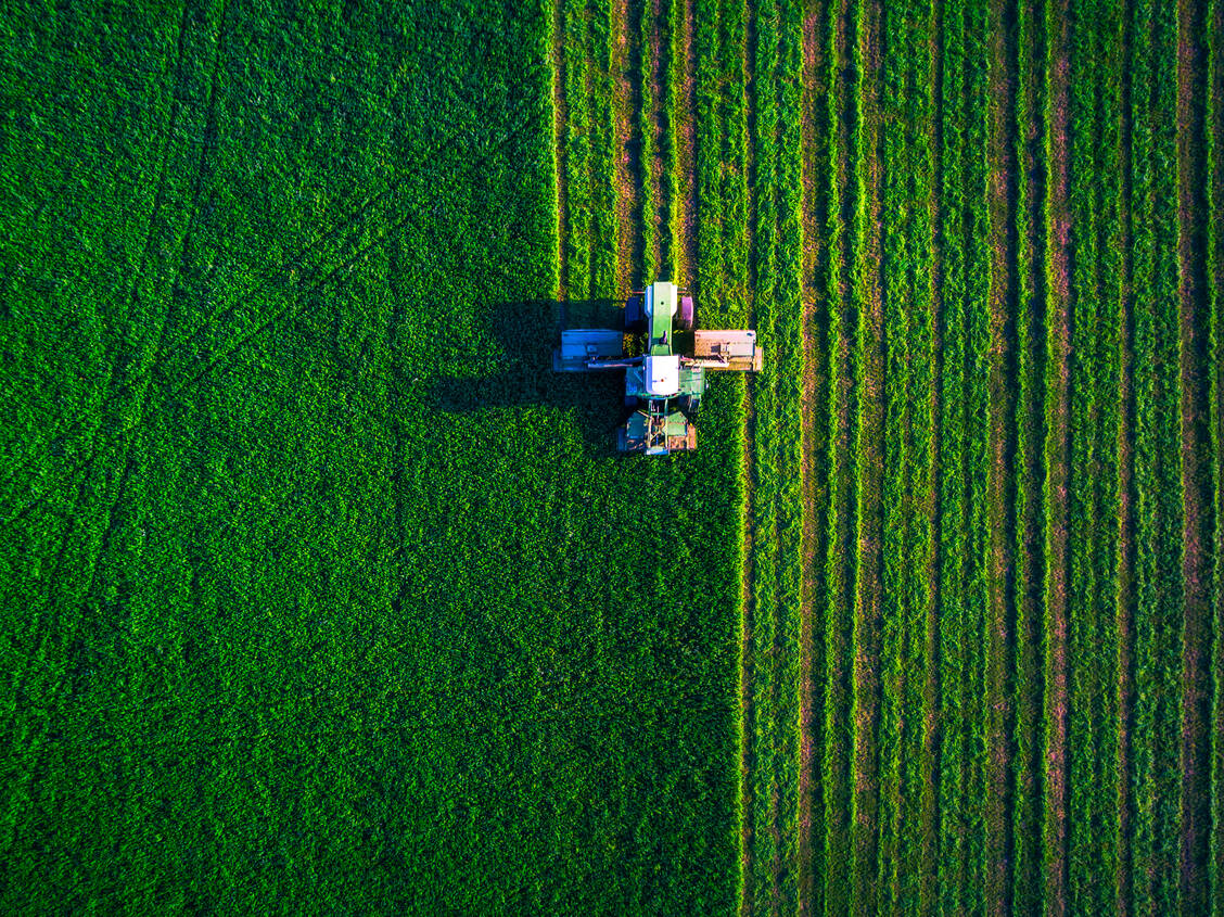Nur wenn auch die Menschen in Industrienationen künftig mehr pflanzliche Nahrung zu sich nehmen als bisher, wird die wachsende Weltbevölkerung langfristig zu ernähren sein. Foto: Shutterstock/Valentin Valkov