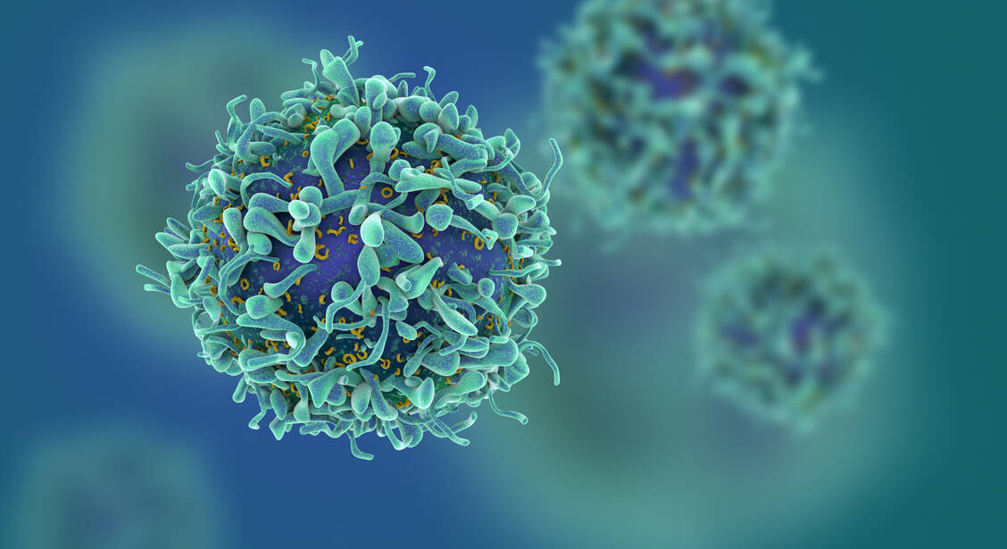 CD16-positive zytotoxische T-Zellen könnten bei Covid-19-Patienten für einen schweren Verlauf mit verantwortlich sein. / Foto: Adobe Stock/fusebulb