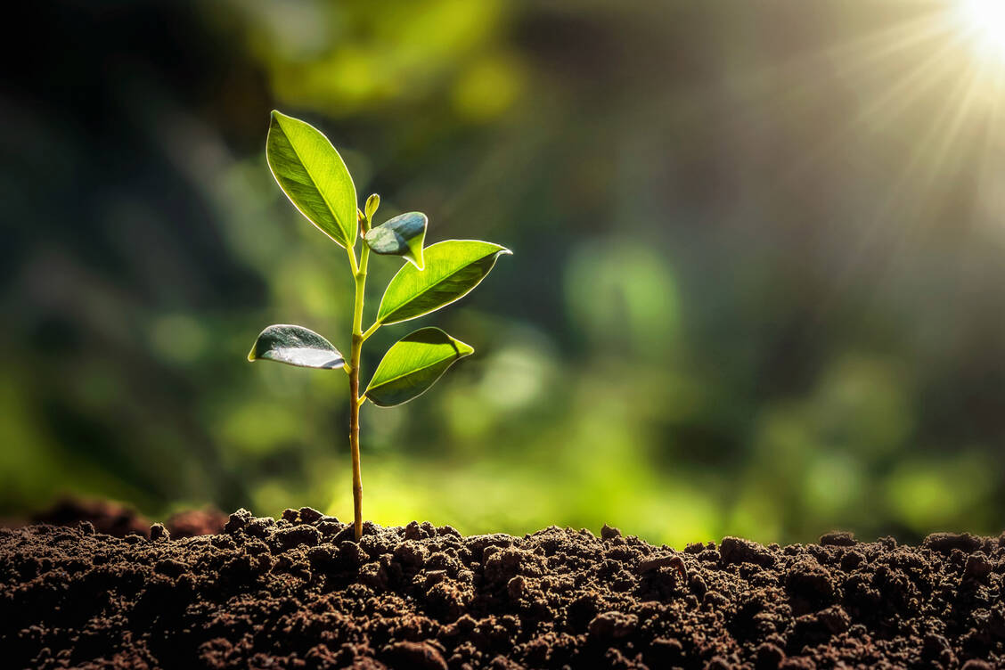 Der Klimawandel und seine negativen Folgen: Wer aktiv etwas zum Thema Nachhaltigkeit beiträgt, kann sich für den vdek-Zukunftspreis bewerben.  / Foto: Adobe Stock/ lovelyday12