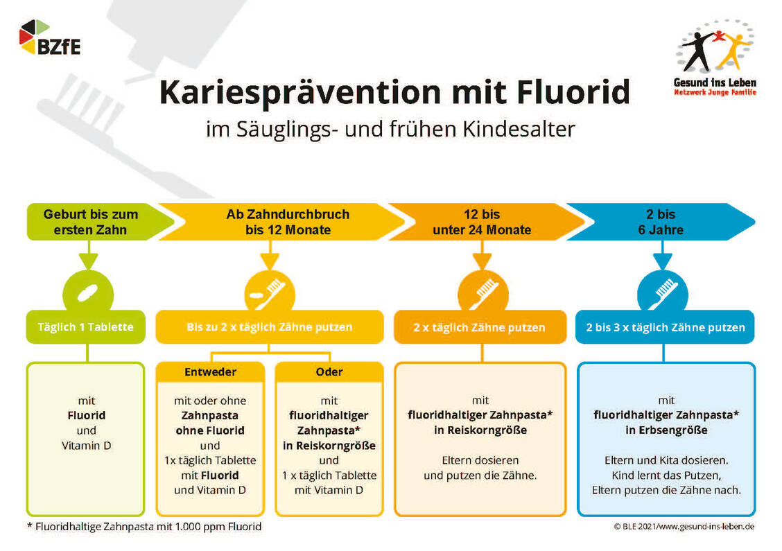 Infografik des Netzwerks »Gesund ins Leben« zur Kariesprävention mit Fluorid im Säuglings- und frühen Kindesalter. / Foto: BLE 2021/www.gesund-ins-leben.de