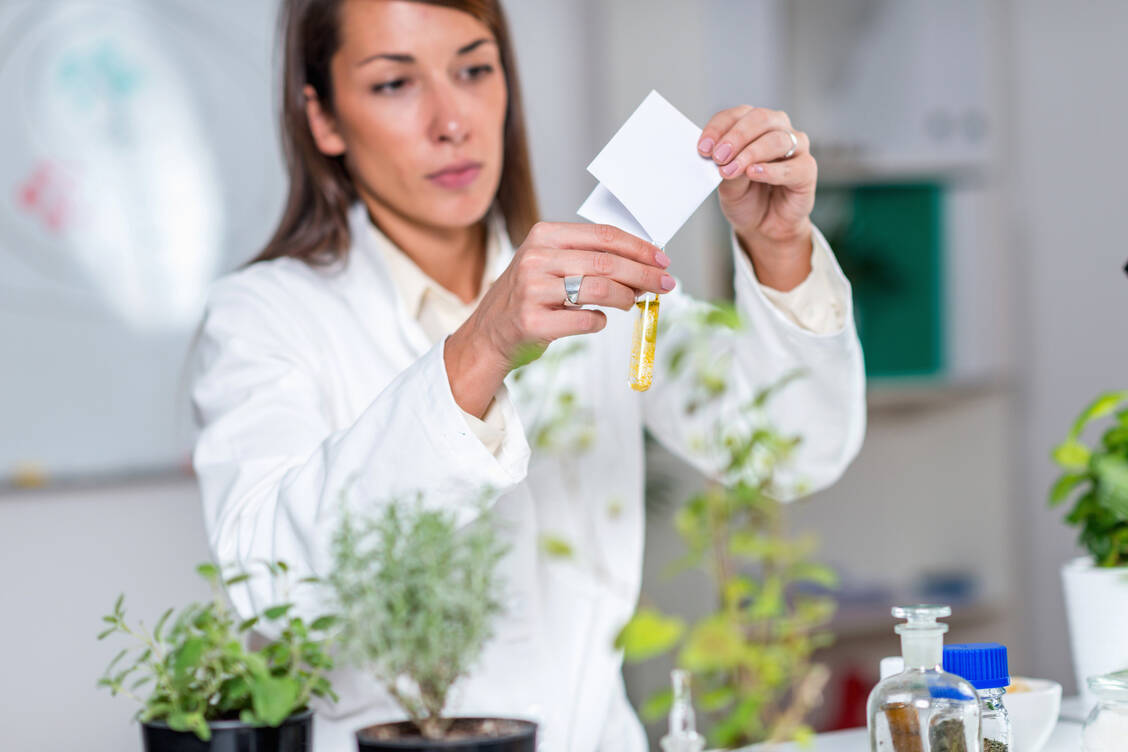 Kein Extrakt ist wie der andere. Pharmakologische Untersuchungen sind wichtig, aber erst klinische Studien machen das evidenzbasierte Phytopharmakon aus. / Foto: Adobe Stock/Microgen