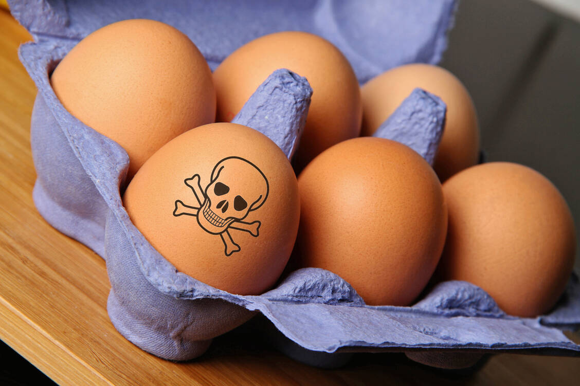 Salmonellen auf Hühnereischalen oder Dioxin in den Eiern selbst: Viele Lebensmittelvergiftungen könnten vermieden werden, wenn die Produzenten und andere Akteure umsichtiger handeln würden. / Foto: Fotolia/ray jones