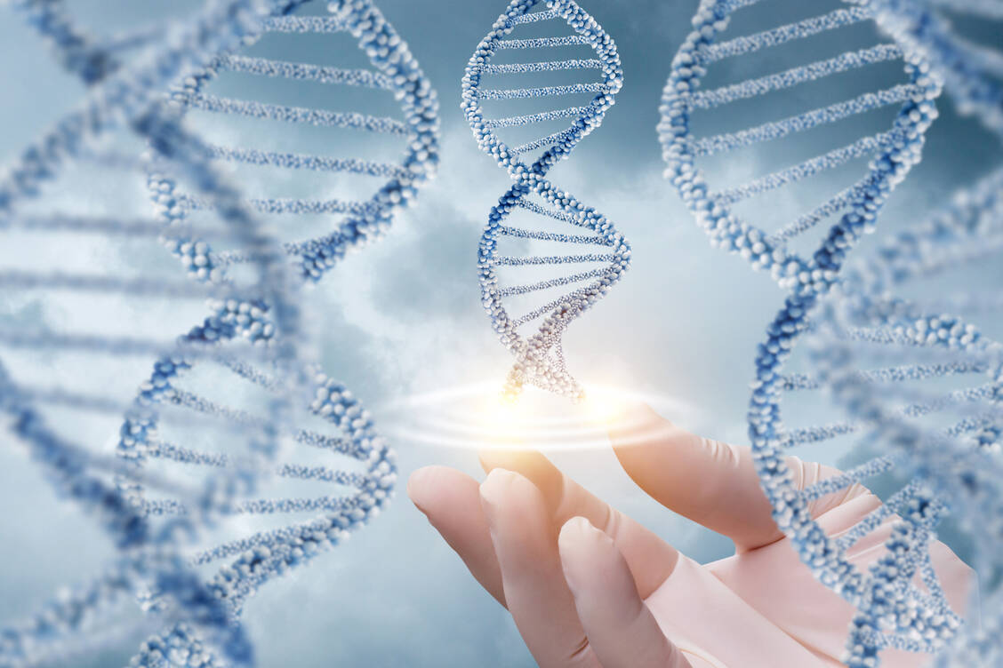 Seltene Mutationen in bestimmten Genen der angeborenen Immunabwehr kommen bei Patienten mit schweren Covid-19-Erkrankungen deutlich häufiger vor als in der Allgemeinbevölkerung. / Foto: Adobe Stock/natali_mis