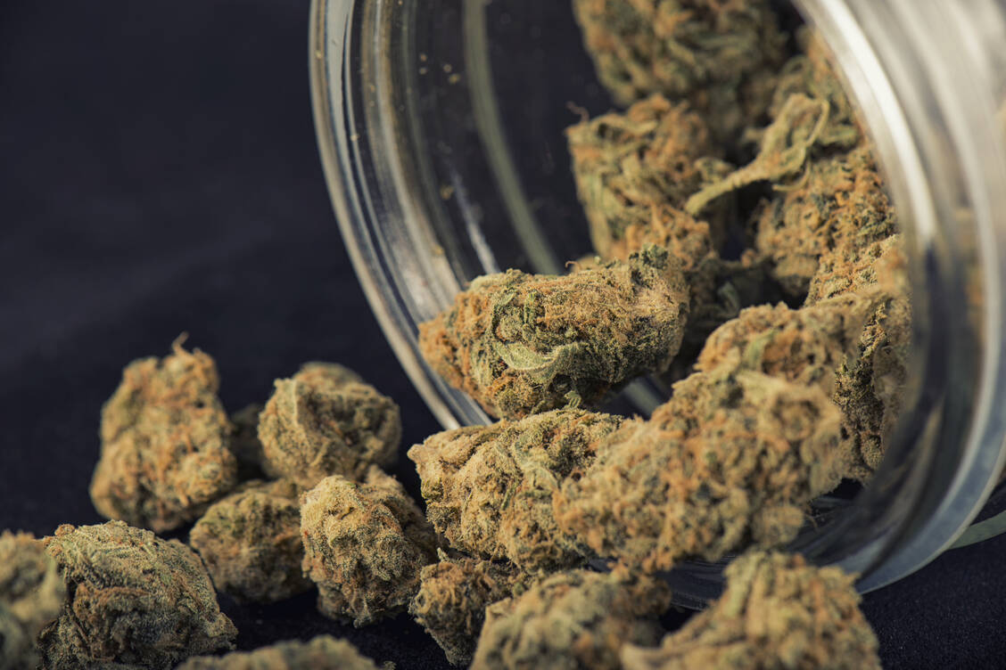 Das BfArM hat über 13 Cannabis-Lose zu je 200 kg Jahresmenge zu entscheiden. / Foto: Shutterstock/Roxana Gonzalez
