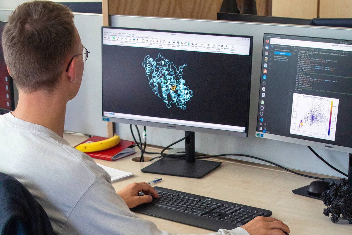 Ein Mitarbeiter des Instituts für Wirkstoffentwicklung in Leipzig analysiert am Computer Proteinstrukturen. Der linke Bildschirm zeigt eine Struktur im dreidimensionalen Raum. / Foto: IWE/Victoria Most