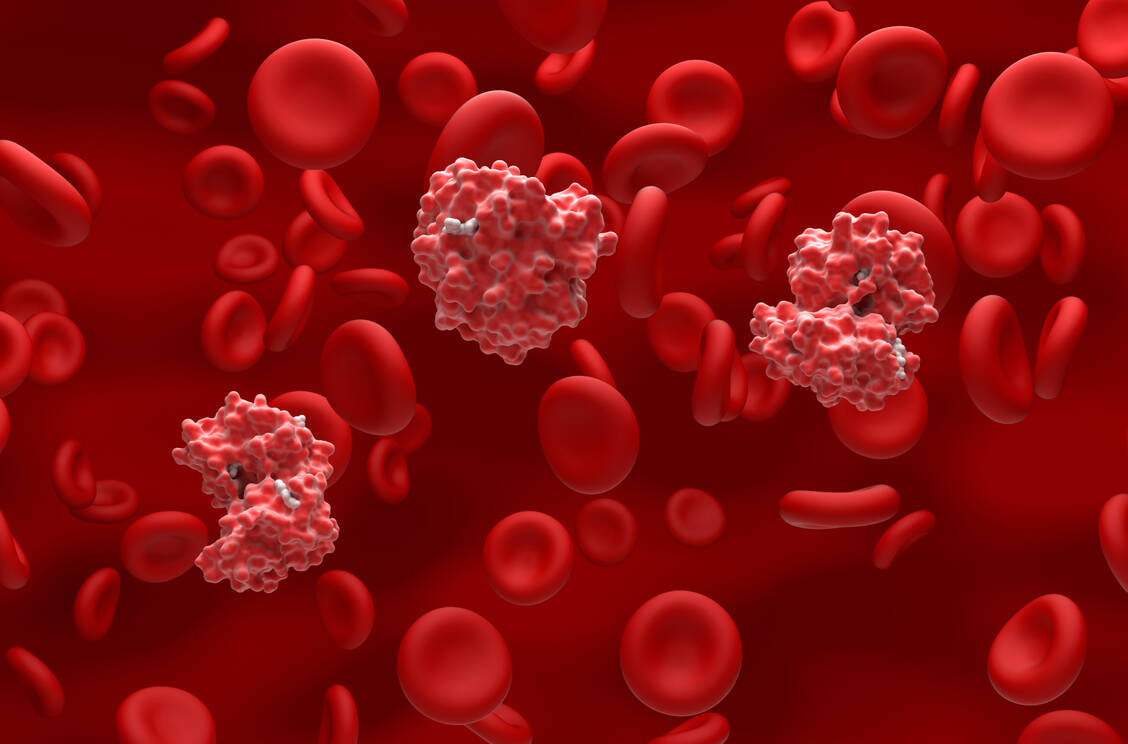 Bei Patienten mit Sichelzellerkrankung oder Beta-Thalassämie ist das sauerstofftransportierende Hämoglobin fehlgefaltet. Durch die Gentherapie wird das Gen für die stillgelegte fetale Hämoglobin-Variante wieder aktiv. / Foto: Getty Images/Science Photo Library/Nemes Laszlo