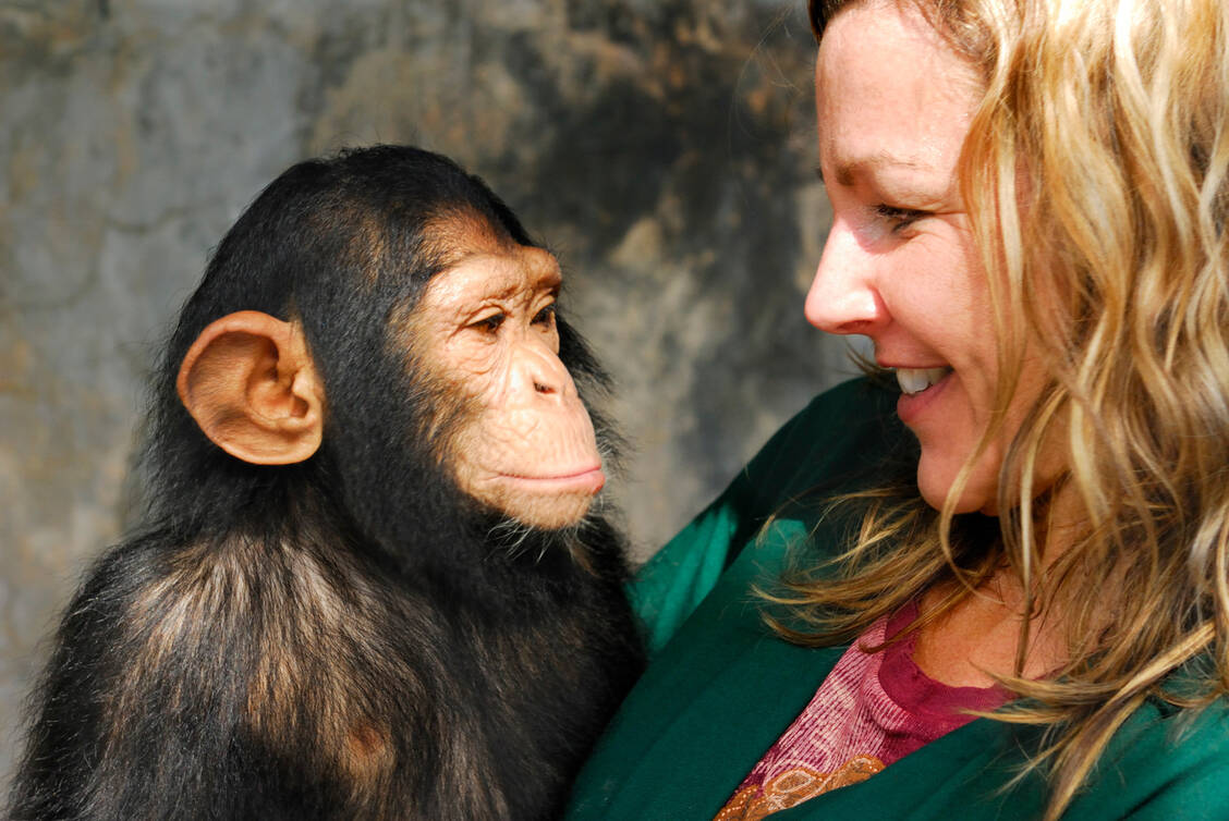 Der Mensch hat in der Evolution doppelt so häufig Viren auf andere Tierarten übertragen als umgekehrt.  / Foto: Getty Images/Warwick Lister-Kaye
