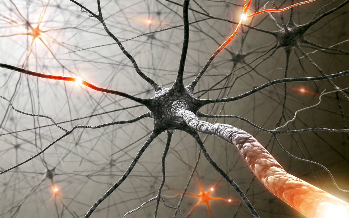 Die Toxine des Bakteriums Bacillus anthracis hemmten in einem Tierexperiment  Schmerzen auf neuronaler Ebene. / Foto: Fotolia/ktsdesign
