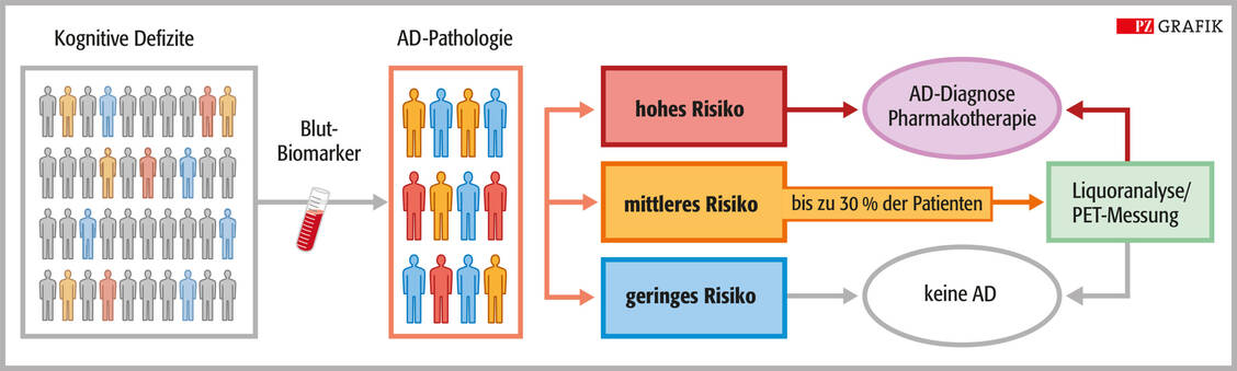 Abbildung 2: Schema einer Biomarker-basierten Alzheimer-Diagnostik. Patienten mit kognitiven Defiziten können auf Alzheimer-typische Biomarker im Blut getestet werden. Anhand des sich daraus ergebenden Risikos kann eine Alzheimer-Demenz (AD) ausgeschlossen oder durch eine anschließende Liquor-/PET-Analyse bestätigt werden. Basierend auf den Analysenergebnissen kann gegebenenfalls eine (Antikörper-)Pharmakotherapie eingeleitet werden. Modifiziert nach: DOI 10.1038/s43587-023-00403-3 / © PZ/Stephan Spitzer